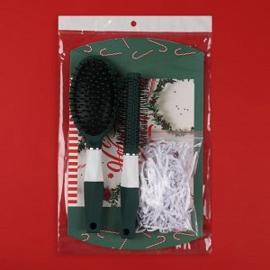 Queen fair Подарочный набор «Новый год - Фея», 2 предмета: брашинг, массажная расчёска