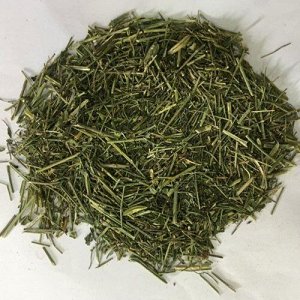 Fah Tailai Jone(Andrographis paniculata)/Фа Талаи Джон