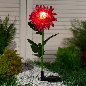 Фонарь садовый на солнечной батарее "Хризантема красная" 80 см, 1 LED, БЕЛЫЙ
