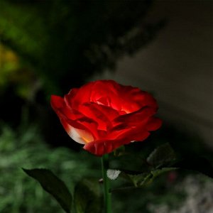 Фонарь садовый на солнечной батарее "Роза красная" 75 см, 1 LED, БЕЛЫЙ