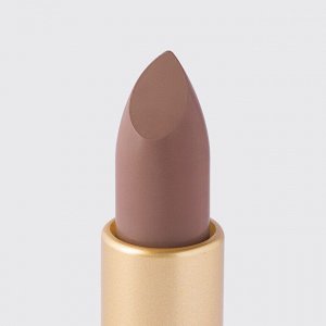 Vivienne Sabo VS Губная помада &quot;Nude Createur&quot; тон 17 холодный нюд   NEW