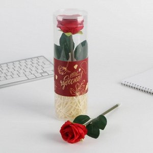 Подарочная ручка в тубусе «Ты чудесна!», роза, цвет красный