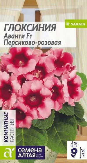 Глоксиния Аванти Персиково-розовая F1/Сем Алт/цп 8 шт.