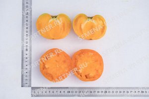Томат Амана Оранж / Сорт томата