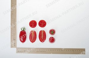 ПАРТНЁР Томат Альфонс F1 / Гибриды томата с необычной формой плодов