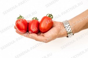 ПАРТНЁР Томат Янтарь F1 / Гибриды томата с необычной формой плодов