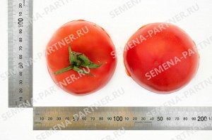 Томат Ладья / Сорт томата
