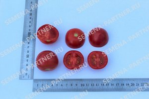 Томат Малиновый Коктейль F1 / Гибриды томата с розовыми плодами