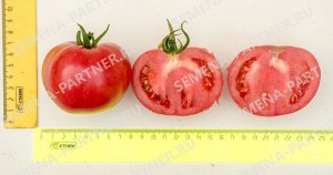 Томат Фамилия F1 / Гибриды томата с розовыми плодами