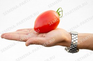 ПАРТНЁР Томат Фукс F1 / Гибриды томата с розовыми плодами