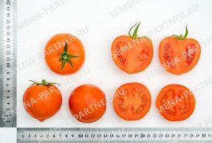 ПАРТНЁР Томат Золотая Канарейка F1 / Гибриды томата с желто-оранжевыми плодами