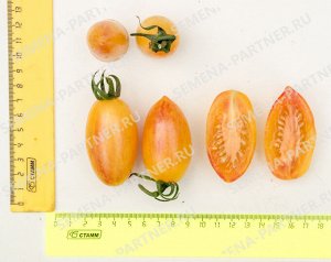 Агрофирма Партнёр ПАРТНЁР Томат Котя F1 Гибриды томата с желто-оранжевыми плодами