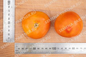 ПАРТНЁР Томат Золотая Миля F1 / Гибриды томата с желто - оранжевыми плодами