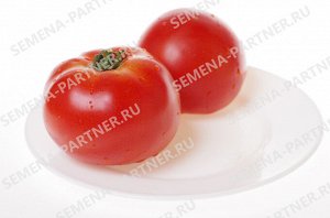 Агрофирма Партнёр Партнер Томат Кастельяно F1 ( 2-ной пак.) Гибриды биф-томатов с массой плода свыше 250 г