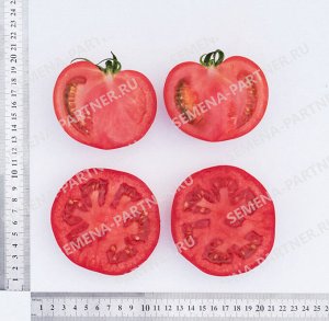 Агрофирма Партнёр Партнер Томат Кастельяно F1 ( 2-ной пак.) Гибриды биф-томатов с массой плода свыше 250 г