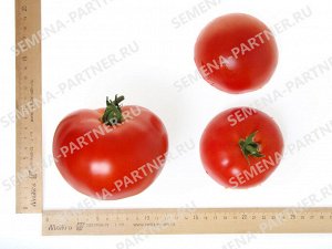 Томат Момбаса F1 / Гибриды биф-томатов с массой плода свыше 250 г