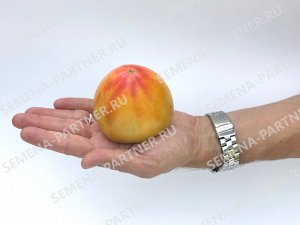 ПАРТНЁР Томат Сокровище Инков F1 / Гибриды биф-томатов с массой плода свыше 250 г