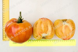 Агрофирма Партнёр Партнер Томат Сокровище Инков F1 ( 2-ной пак.) Гибриды биф-томатов с массой плода свыше 250 г