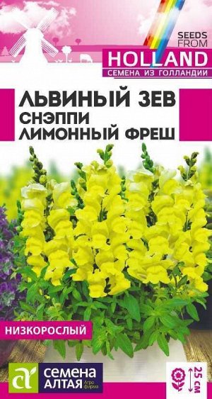 Львиный зев Снэппи Лимонный фреш/Сем Алт/цп 7 шт Голландия НОВИНКА