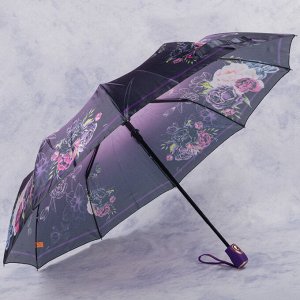 зонт 
            35.FAS2023-01