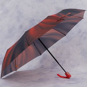зонт 
            35.FCP2012-06