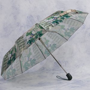зонт 
            35.SCS8247-04