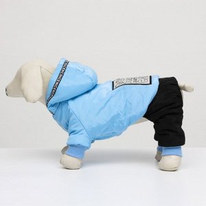 Комбинезон Dog Care, размер XL (ДС 34, ОШ 31, ОГ 47 см), голубой