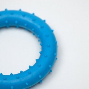 Игрушка для собак "Кольцо шипованное", TPR, 8,2 см, микс цветов