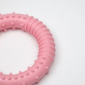 Игрушка для собак "Кольцо шипованное", TPR, 8 см, микс цветов