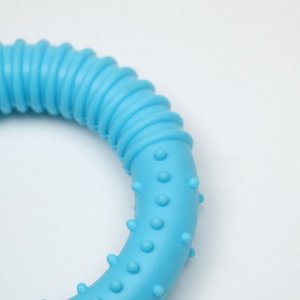 Игрушка для собак "Кольцо шипованное", TPR, 8 см, микс цветов