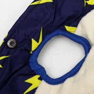 Куртка для собак "Молния", M (ДС 25 см, ОШ 26 см, ОГ 37 см), тёмно-синяя