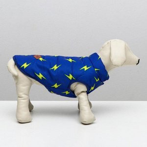 Куртка для собак &quot;Молния&quot;, XXL (ДС 40 см, ОШ 35 см, ОГ 55 см), ярко-синяя