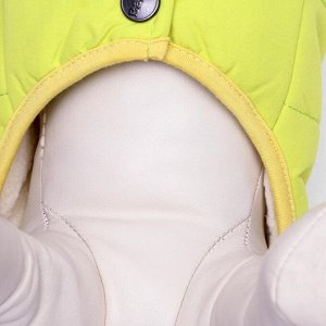 Куртка для собак, M (ДС 25 см, ОШ 26 см, ОГ 37 см), жёлтая