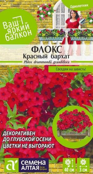 Флокс Красный Бархат друммонда/Сем Алт/цп 0,1 гр. Ваш яркий балкон