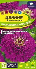 Цинния Фиолетовая Королева георгиноцв 0,3 гр
