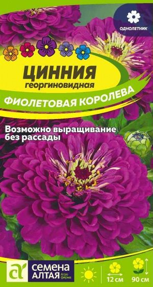 Цинния Фиолетовая Королева георгиноцв./Сем Алт/цп 0,3 гр.