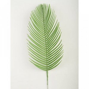 Лист зелени Пальма Перо зеленый 47см