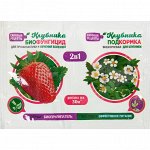 КЛУБНИКА 2в1 биофунгицид 10гр + внекорн.подкормка 10мл. (1/50) /Садовые рецепты/ НОВИНКА