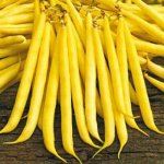 Семена Фасоль &quot;Гречанка&quot;, 5 г