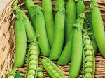 Семена Горох &quot;Сахарная вкусняшка&quot;, бп, 10 г