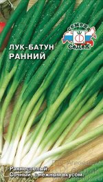 С Лук Батун Ранний раннеспелый 1гр Седек/ЦВ
