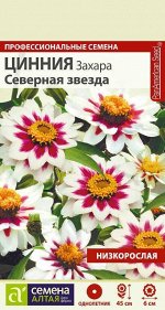 Цинния Захара Северная Звезда карлик, малиновый центр, белый край, 45см, однол 6шт СА/ЦВ