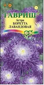 Астра Боретта Лавандовая густомахр, до 70см, однол 0,3гр Гавриш/ЦВ