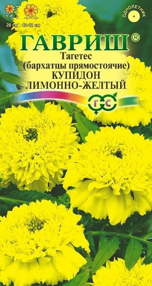 Бархатцы Купидон Лимонно-желтый прямост, 20см, однол 0,05гр Гавриш/ЦВ