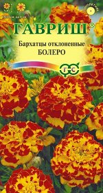 С Ц Бархатцы Болеро откл, махр, красно-коричневые с зол-желтыми пятнами, 30см, однол 0,3гр Гавриш/ЦВ