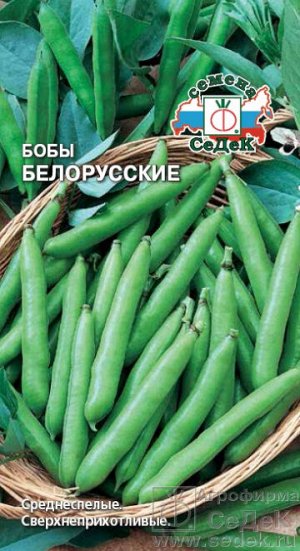 С Бобы Белорусские среднеспелые 10гр Седек/ЦВ 1/10