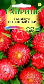 Гелихризум Огненный Шар ярко-красный, 70см 0,2гр Гавриш/ЦВ