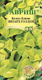 Колеус Визард Голден лимонно-желтый, 30-35см, однол 5шт Гавриш/ЦВ