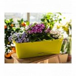 Ящик Б 9,0л 60х17х13см Прованс фисташка с/п ЛГ 1/10