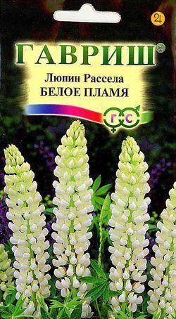 Люпин Рассела Белое Пламя до 100см, мног 0,5гр Гавриш/ЦВ